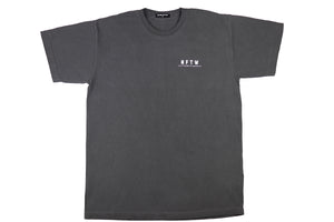 Dove Tee in Gray